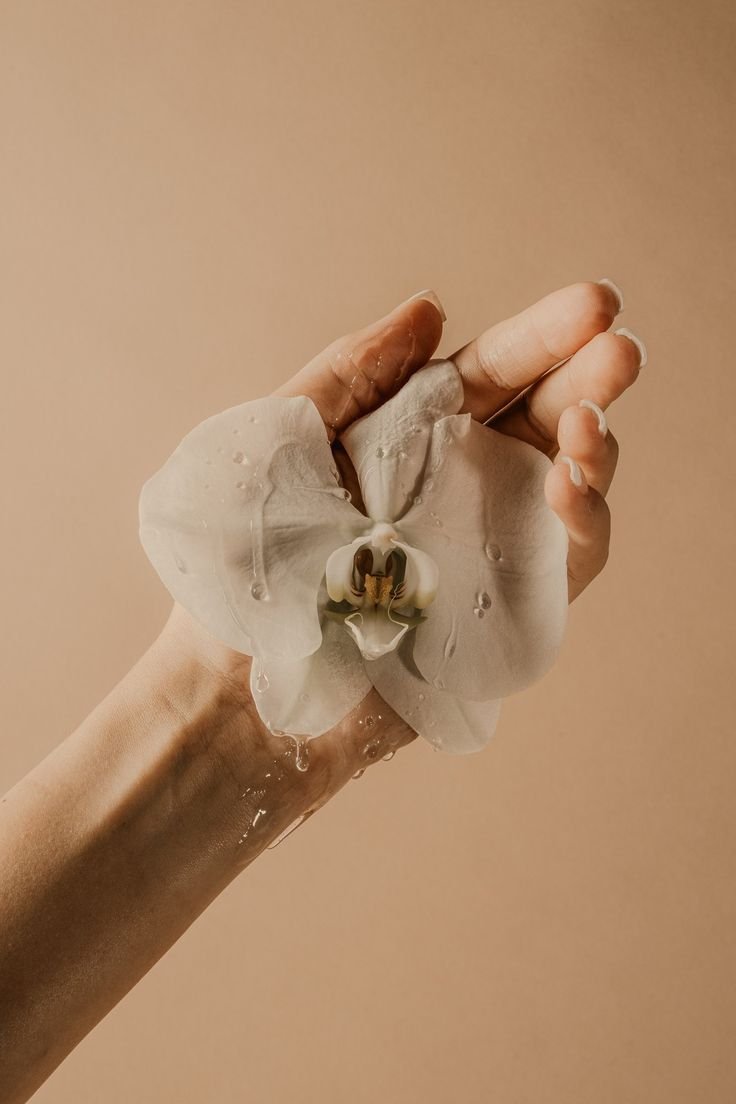 16. Mindfulness e a saúde cíclica da mulher: Como a atenção plena regula o estresse e os hormônios