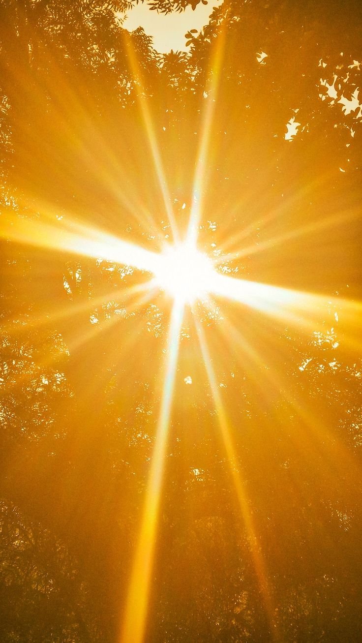 18. Setembro Amarelo: A ciência da atenção plena na prevenção e cuidado da saúde mental