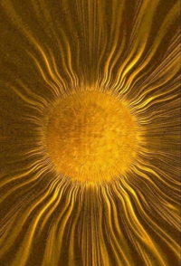 Mindfulness sem Autocompaixão é incompleto: Entenda o papel da gentileza na prática.