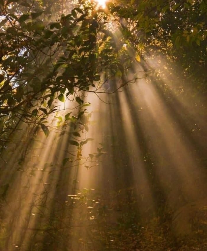 3 Mitos sobre Mindfulness que te impedem de ter paz mental (O #2 é o mais comum)